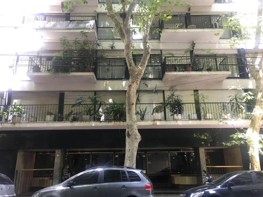 Estudio Palermo Ba * Ciudad Autónoma de Buenos Aires